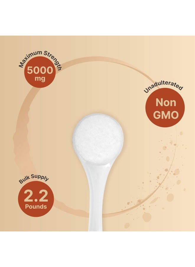 NatureBell Creatine Monohydrate Powder 1,000g, 5,000mg Per Serving | Micronized, Pure & Unflavored | Pre-Workout Muscle Support | Keto, Vegan, Filler-Free | 200 Servings (2.2 lb) - Image 4